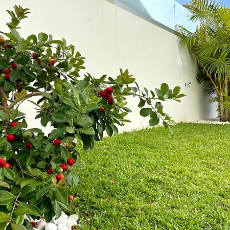 Sunset Ocean リベイラ・ブラーヴァ