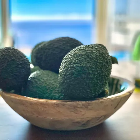 Гостевой дом Sunset Ocean Рибейра-Брава